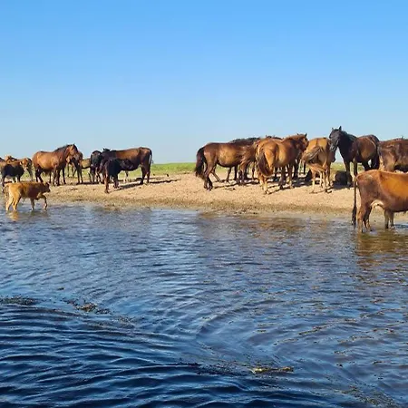 게스트하우스 Casa Roko