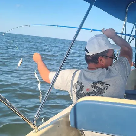 게스트하우스 Casa Roko