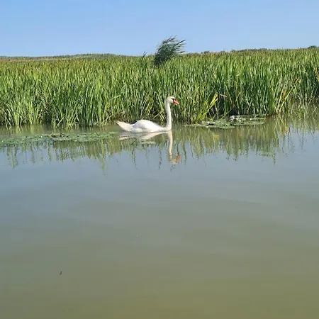 게스트하우스 Casa Roko 스픈투 게오르게