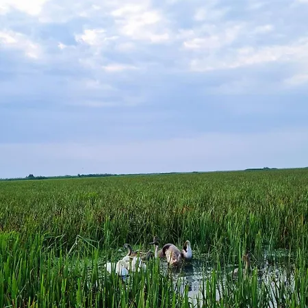 Casa Roko 게스트하우스 3*