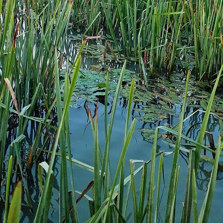 Casa Roko 3* 스픈투 게오르게