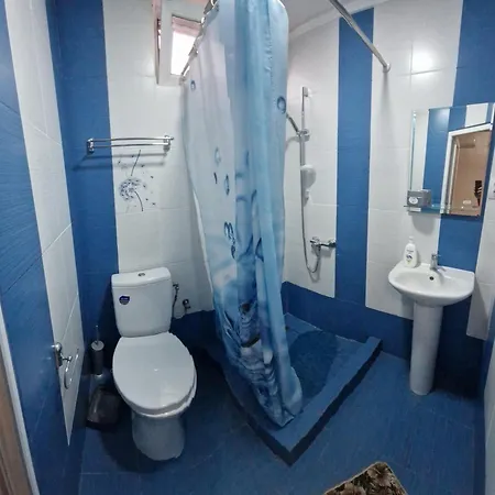 Gasthuis Casa Roko Sfântu Gheorghe