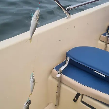 Gasthuis Casa Roko 3*