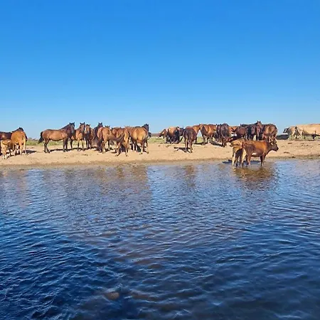 Casa Roko Gasthuis Sfântu Gheorghe