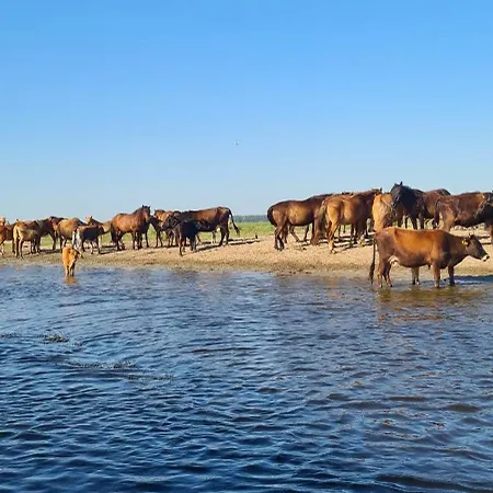 Penzion Casa Roko 3*