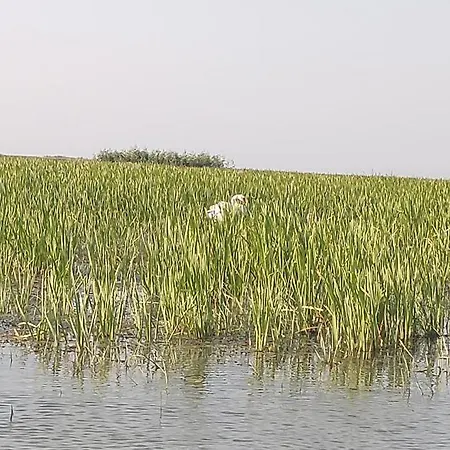 Casa Roko 3* Sfântu Gheorghe