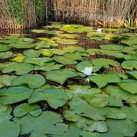 Gasthuis Casa Roko 3*