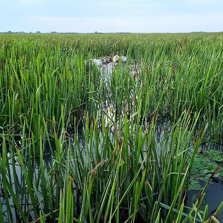 Casa Roko 3* Sfântu Gheorghe