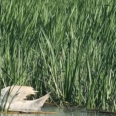 Casa Roko Gasthuis 3*