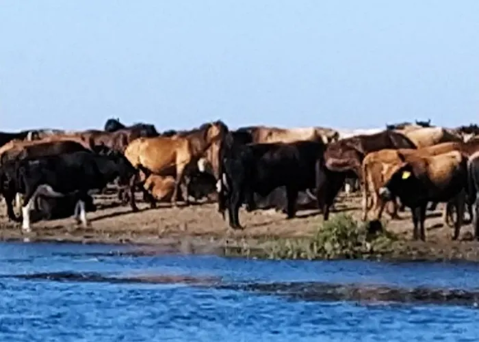 Pensjonat Casa Roko 3*