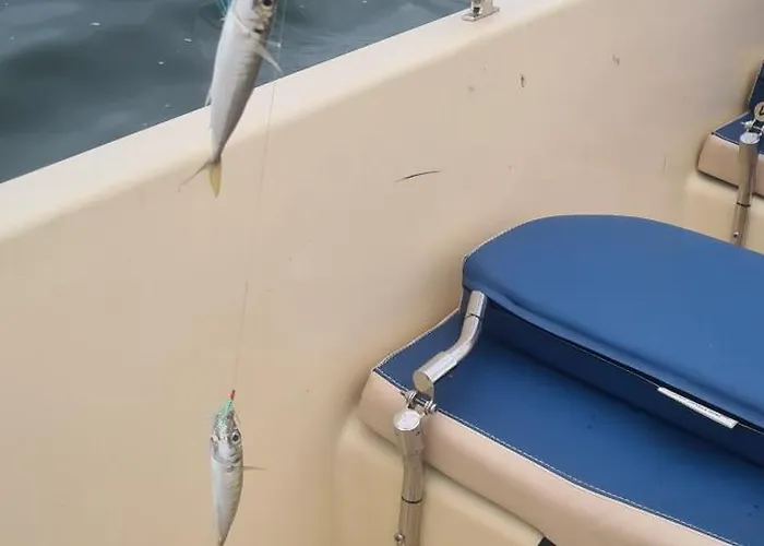 Pensjonat Casa Roko 3*