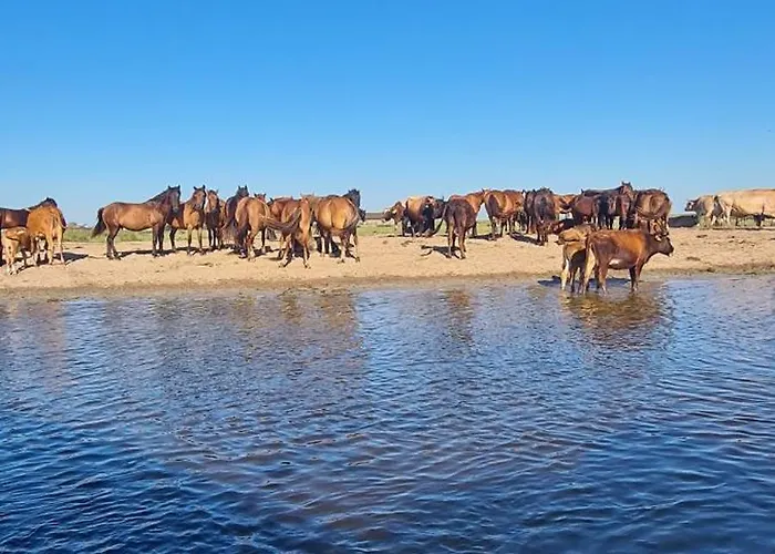 Casa Roko Pensjonat Sfântu Gheorghe