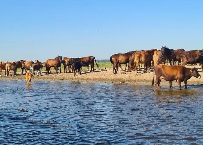 Pensjonat Casa Roko 3*
