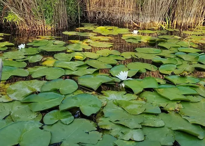 Pensjonat Casa Roko 3*