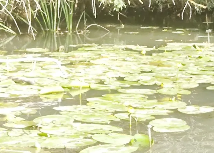 Pensjonat Casa Roko Sfântu Gheorghe