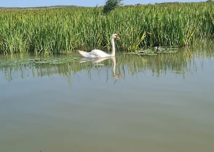 Pensjonat Casa Roko Sfântu Gheorghe