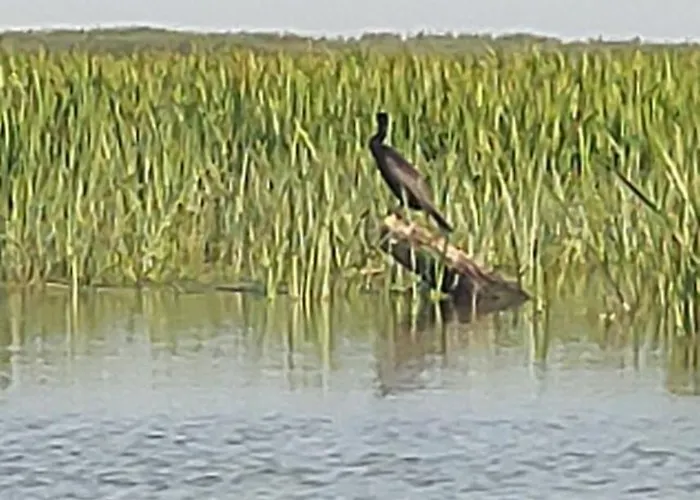 Pensjonat Casa Roko 3*