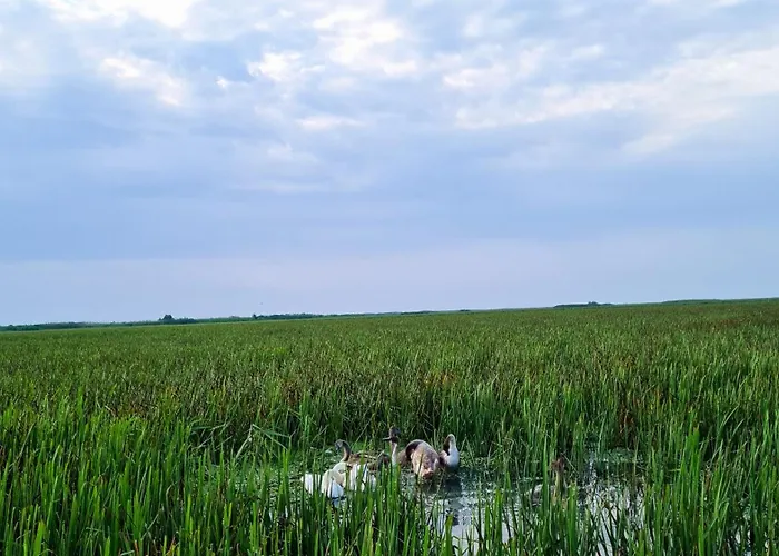 Casa Roko Pensjonat 3*