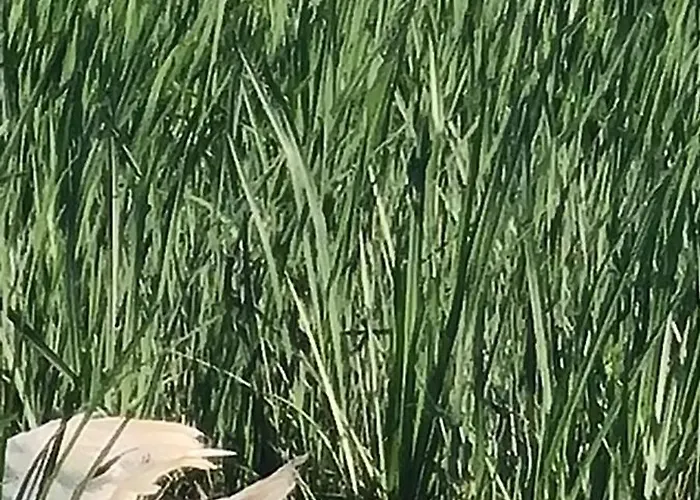 Casa Roko Pensjonat 3*