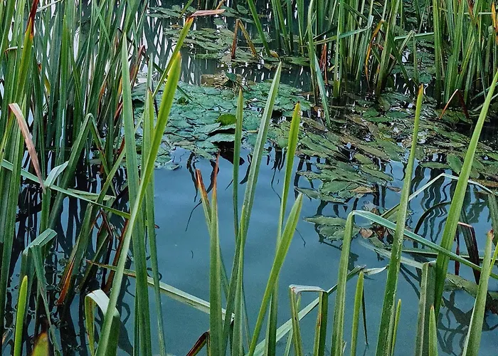 Casa Roko 3* Sfântu Gheorghe